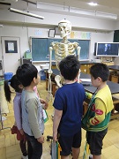 理科室で人体模型を見る子どもたち